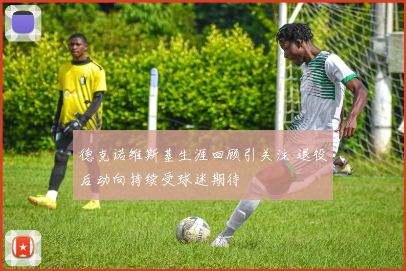 德克诺维斯基生涯回顾引关注 退役后动向持续受球迷期待
